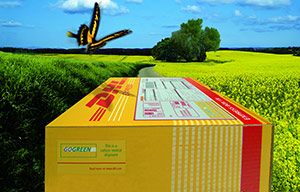 dhl green